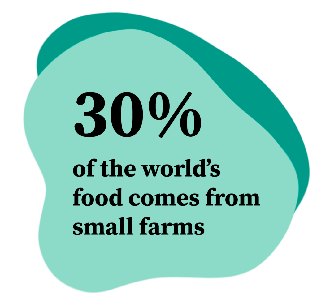 30% of the world's food comes from small farms
