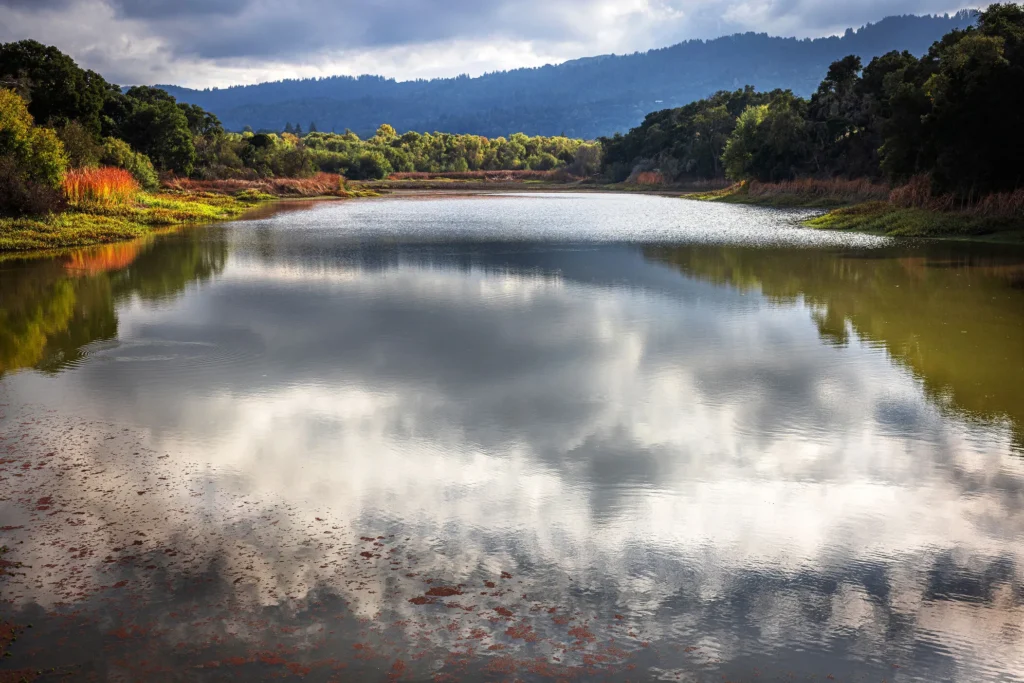 Reservoir at Jasper Ridge Biological Preserve reflecting clouds and surrounded by green trees with mountain ridge in the background