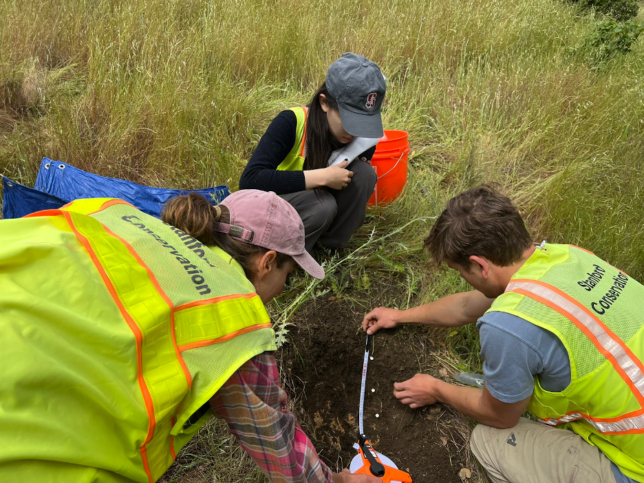 Research team measuring soil in a field