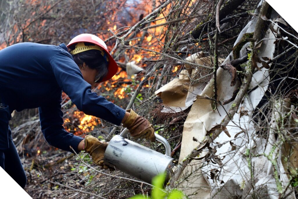 Person in a brush fire setting a controlled burn