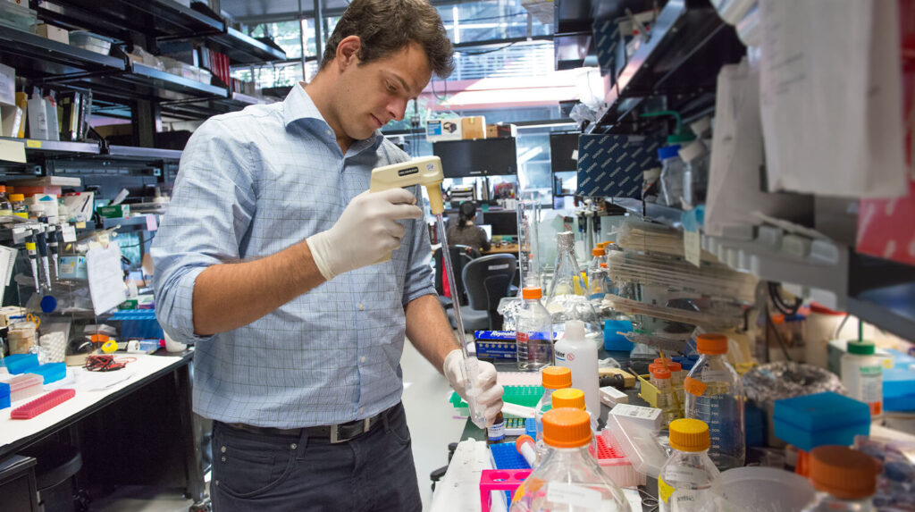 Undergraduate Richie Sapp in the lab where he conducts research on brain connections.