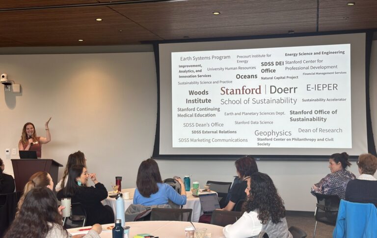 Woman giving presentation at Sustainable Event Planning Workshop