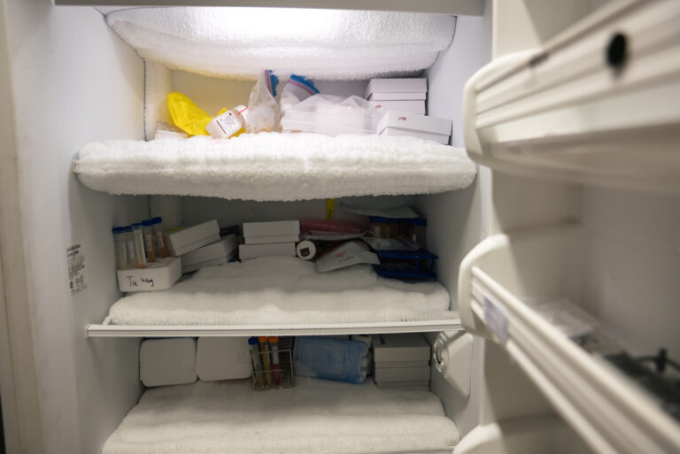 Inside of an ultra low lab freezer with samples inside