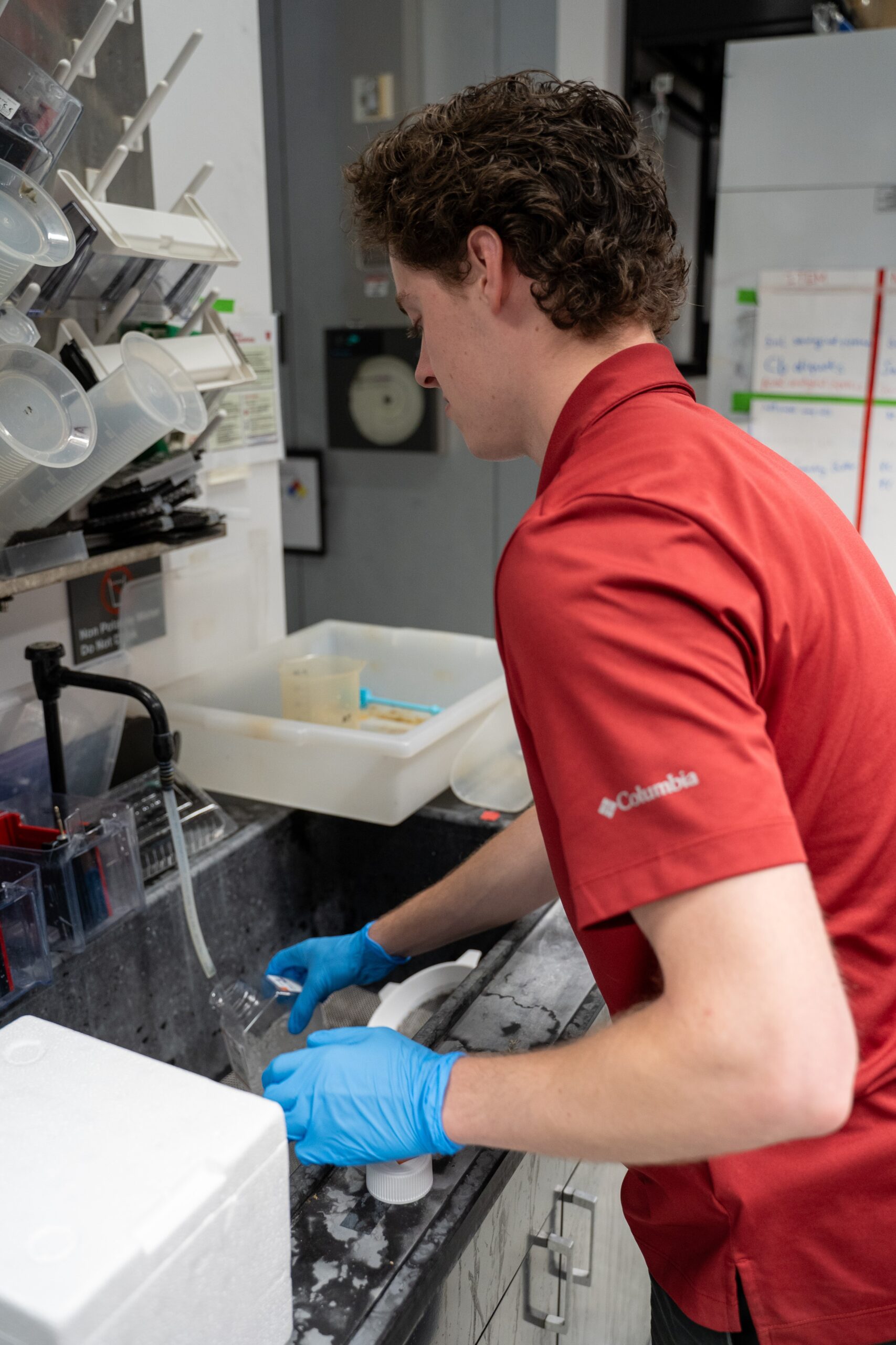 Lab personnel washing glassware in a sink