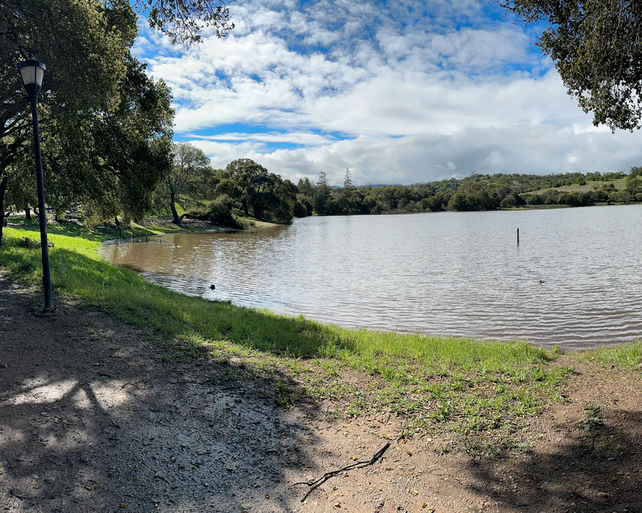 A serene lake surrounded by trees under a partly cloudy sky, with a lamppost on the left.