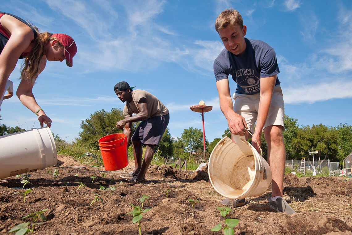 Students water small plants they propigated from clippings at the Stanford Educational Farm.