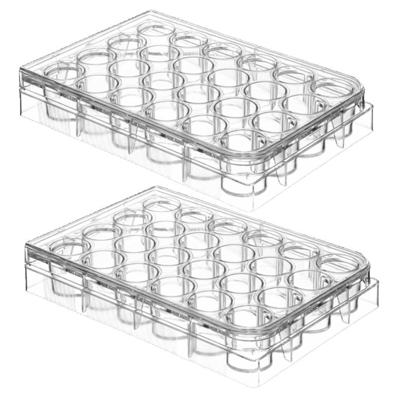 Clear Plastic Well Plates