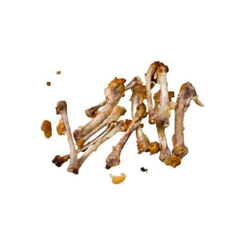 bones