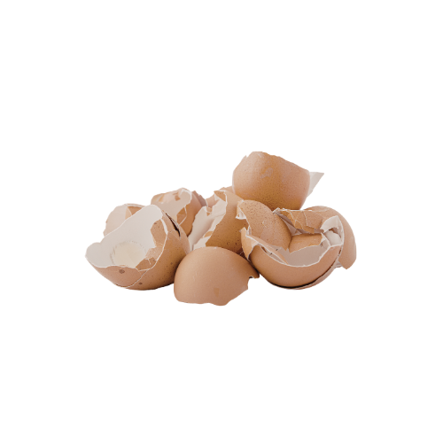 eggshells