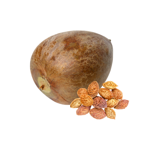 fruit pits
