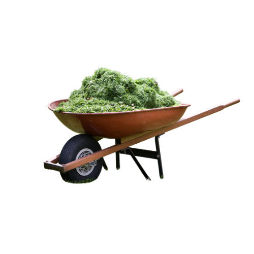 grass clippings