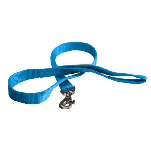 Blue dog leash