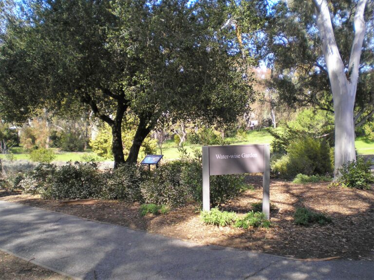 Stanford's Water-Wise Garden with tree, plants, and water-wise sign.