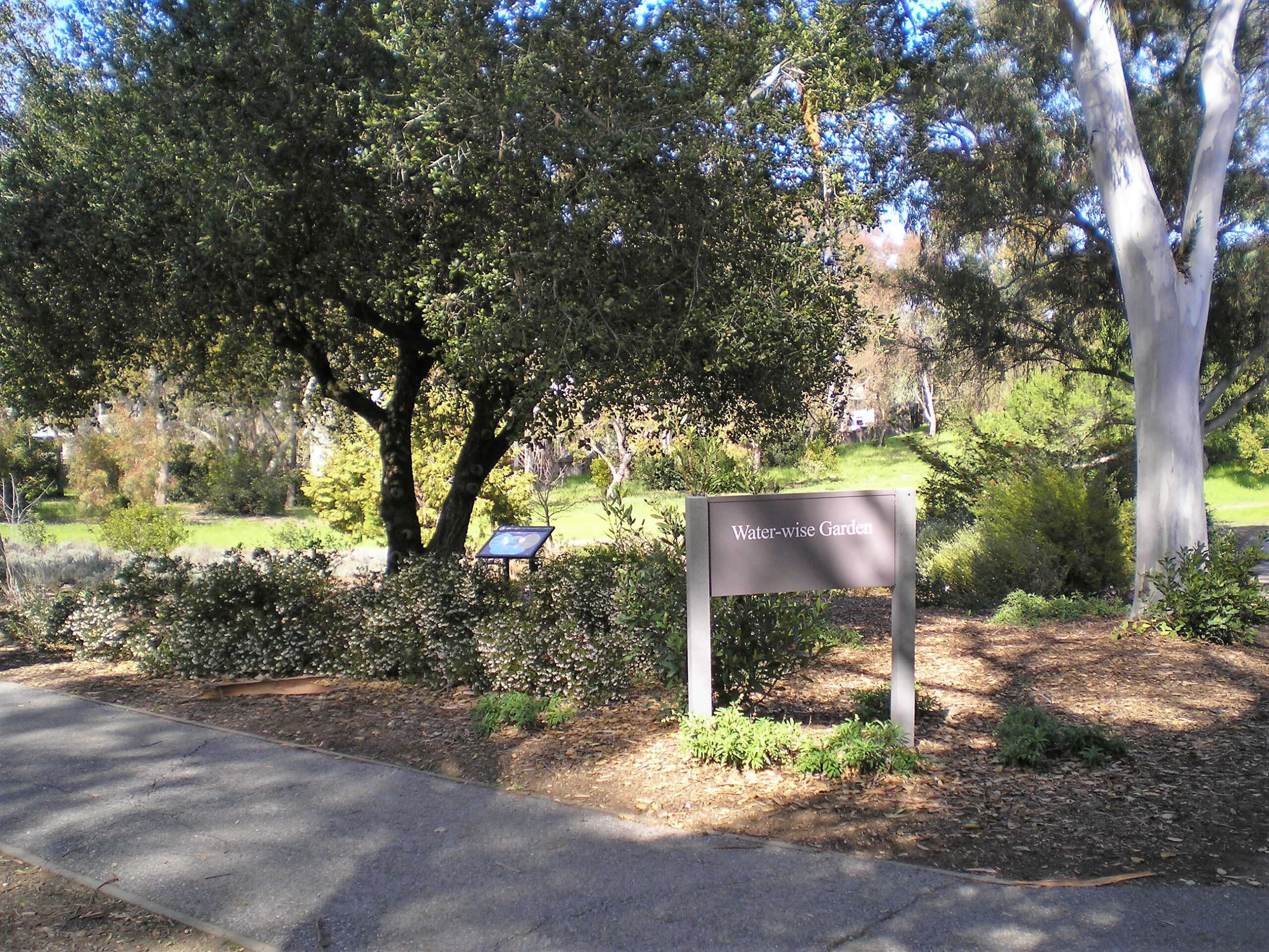 Stanford's Water-Wise Garden with tree, plants, and water-wise sign.