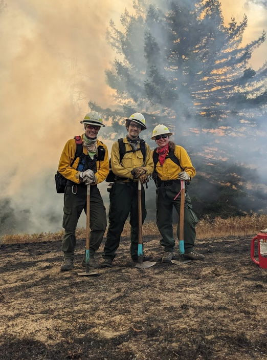 Three people standing with hard hats and yellow vests on from of tree with smoke in the background.