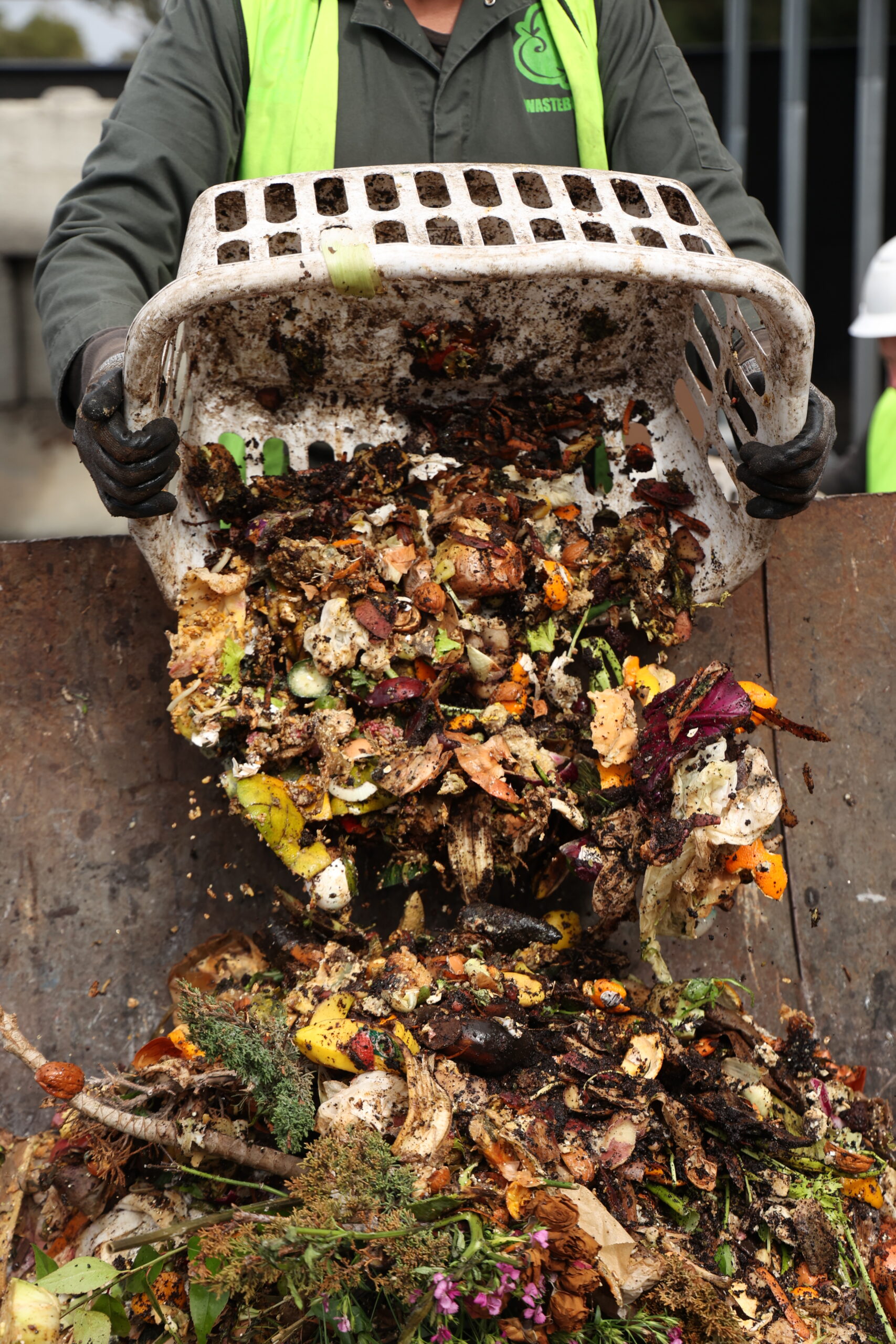 Someone dumping a basket of food waste into a container