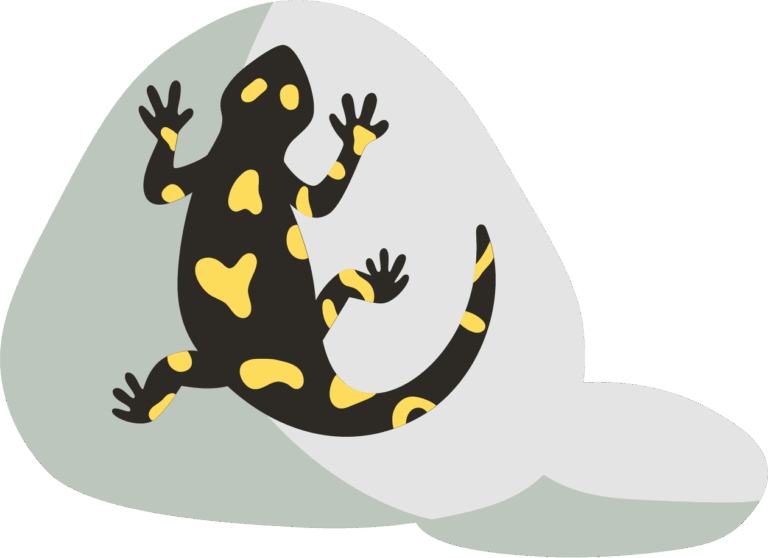 Icon of black salamander with yellow spots laying on a rock